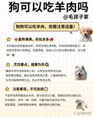 狗狗能吃羊排吗，狗狗可以吃羊排嘛？