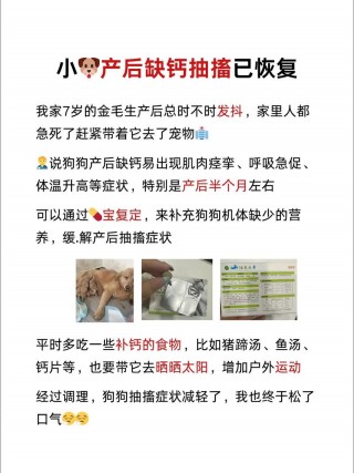 狗狗产后缺钙症状，狗狗产后缺钙急救办法？