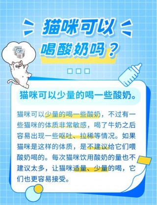 猫猫可以喝酸奶吗，（猫咪能喝酸奶嘛?）