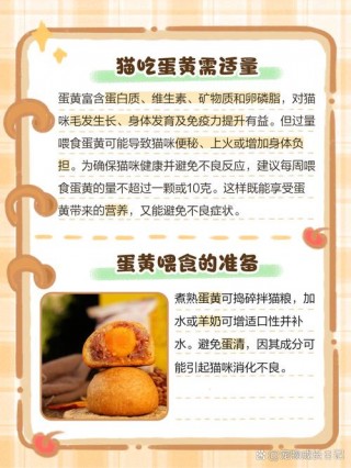 猫咪能不能吃蛋黄？猫咪能不能吃蛋黄?（最新）