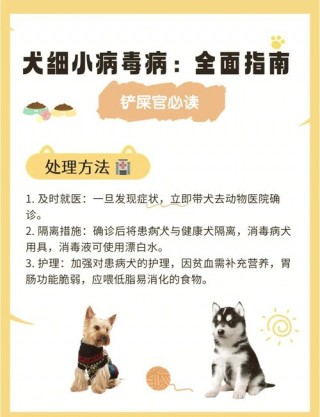 狗狗冠状病毒会自愈吗？狗狗冠状病毒治愈几率（最新）