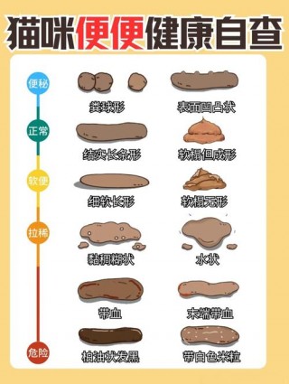 猫咪健康的便便，（猫咪健康的便便形态）