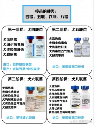 狗狗八联疫苗包括什么，狗狗八联疫苗要打几针？