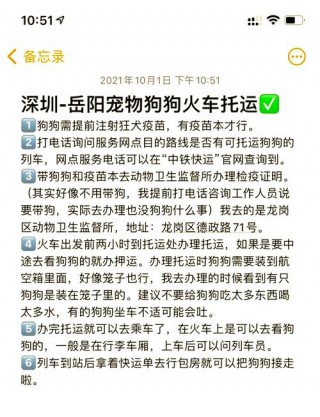 狗狗可以坐车吗，（狗可以坐车吗违法吗）