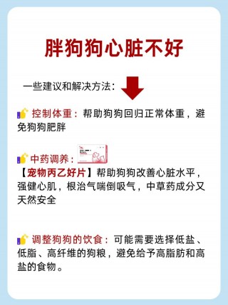狗狗抽气是什么症状，狗狗抽气是什么症状表现？