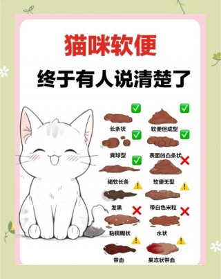 猫咪一直拉稀怎么办？猫咪一直拉稀怎么办,精神很好（最新）
