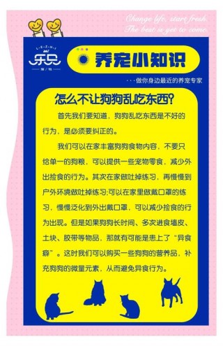 如何让狗狗不乱吃东西，（怎样才能让狗不吃食）