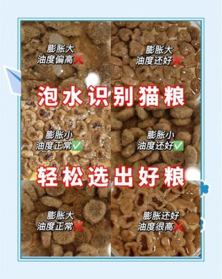 幼猫猫粮怎么泡，幼猫猫粮怎么泡水喝？