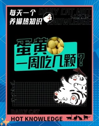 猫咪能吃蛋黄嘛，（猫咪能不能吃蛋黄?）