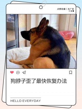 狗狗脖子歪了能自愈吗，狗狗脖子歪了走路不稳？