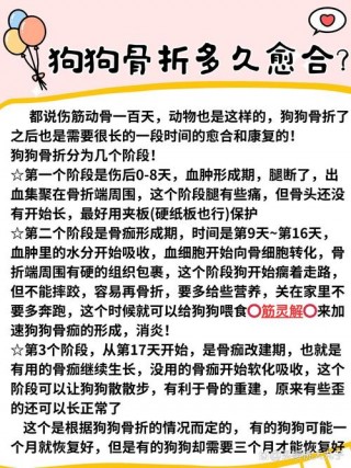 狗狗骨折后几天能消肿，狗狗骨折几天能下地？