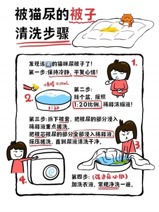 猫咪在被子上尿怎么办，（猫在被子上拉尿怎么回事）