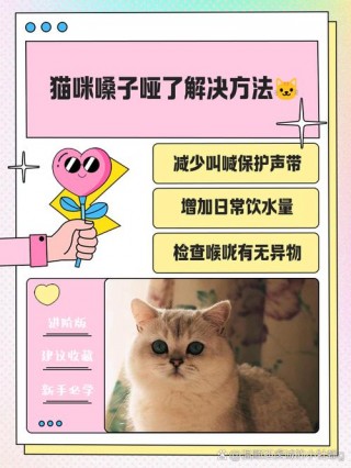 猫咪喉咙哑了怎么办，猫咪喉咙哑了怎么办吃什么药？
