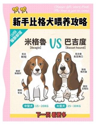 狗狗哺乳期多久？狗狗哺乳期多长时间（最新）