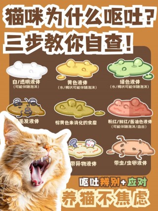 猫咪抽搐口吐白沫，猫咪抽搐口吐白沫怪叫发疯？