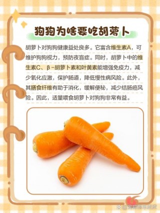 胡萝卜怎么给狗狗吃？怎样给狗狗吃胡萝卜（最新）
