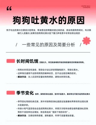 狗狗拉稀吐黄水怎么办，狗狗拉稀吐黄水,但是精神很好？