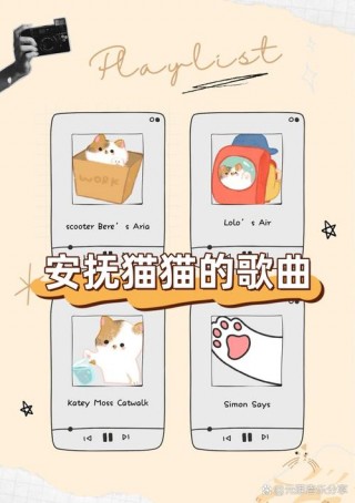 适合猫咪听的歌，适合猫咪听的轻音乐？