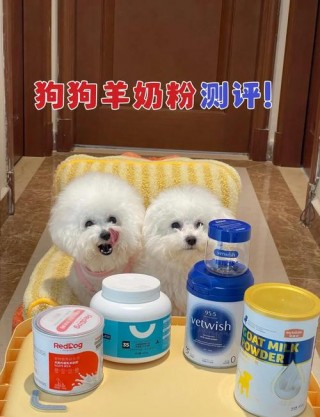狗狗每天喝羊奶粉好吗？狗狗可以天天吃羊奶粉吗（最新）