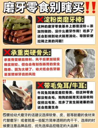 狗狗把磨牙棒吞了怎么办，（狗狗不小心把磨牙棒吃了怎么办）