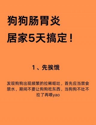 狗狗得了肠炎怎么办，狗狗得了肠炎怎么办能治好吗？