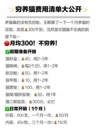 猫咪益生菌多少钱一盒？猫咪专用益生菌多少钱（最新）