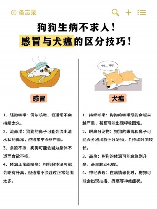 狗狗传染人的病有哪些，狗狗传染病传染人吗？