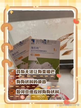 如何让狗狗不叫，（怎么让狗不叫?）