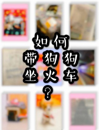 火车上能带狗狗吗，高铁上能带宠物狗吗?？