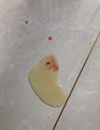 狗狗便血是怎么回事，（狗狗便血是怎么回事该怎么治疗）