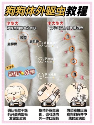 狗狗如何体外驱虫，（狗狗体外驱虫小妙招）