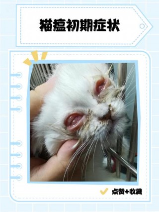 猫咪猫瘟初期症状，猫咪猫瘟初期症状能治好吗？