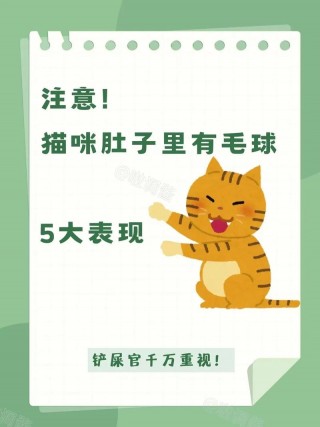 猫咪胃里有毛球症状，（猫胃里有毛团怎么办）