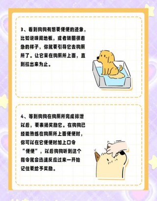 如何教狗狗上厕所，怎么教狗狗上厕？