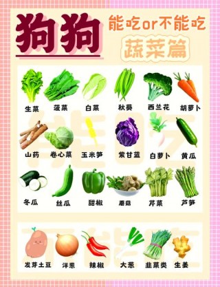 狗狗能吃菠菜么？狗子可以吃菠菜吗?（最新）