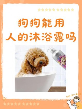 狗狗能用人的洗发水吗，（狗狗能用人的洗发水吗?）