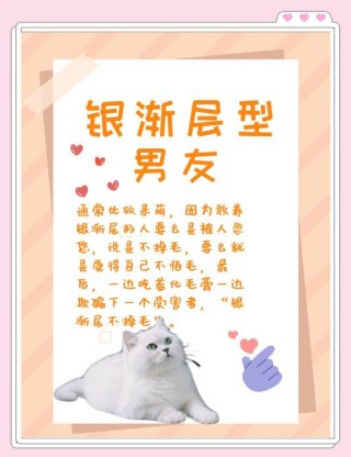 猫猫是什么意思，（你知道猫是什么意思吗）