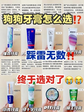 狗狗可以用人的牙膏吗，（狗狗可以用人的牙膏刷牙吗?）