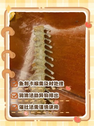 狗狗吃鱼刺卡了怎么办？狗狗吃鱼刺卡住的症状怎么办呢（最新）