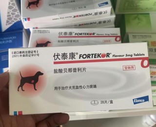 不让狗狗怀孕吃什么药，（不让狗狗怀孕吃什么药好）