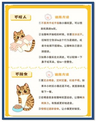 怎样才能让猫咪听话，如何才能让猫咪听话？