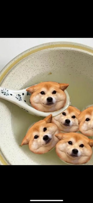 狗狗可以吃汤圆吗，狗狗可以吃汤圆吗?？