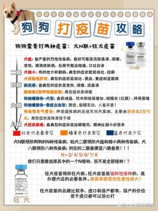 狗狗打完疫苗多久可以出门，狗狗去哪里打疫苗比较好？