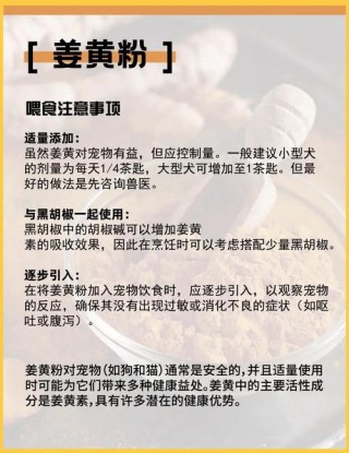 狗狗可以吃米粉吗？狗狗可以喂米粉吗（最新）