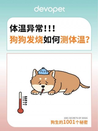 怎样给狗狗测体温？怎样给狗狗测体温最准确（最新）