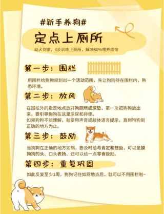 怎样教狗狗定点大小便，（如何教狗狗定点撒尿）