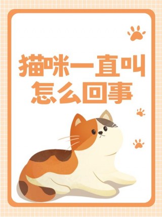 猫咪知道饥饱吗，（猫咪知道饥饱吗怎么办）