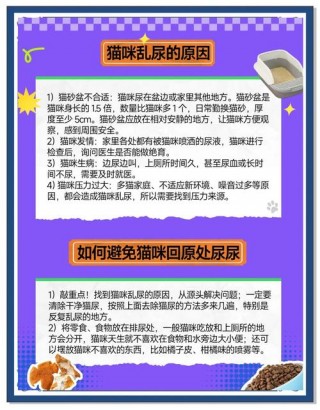 猫咪的尿味怎么去除，（猫尿味用什么去除）
