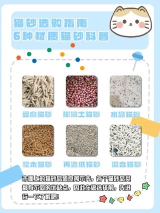 猫咪用什么猫砂比较好，猫应该用什么猫砂？