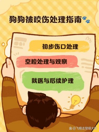 被狗狗咬了怎么办，（被“狗”咬了怎么办）